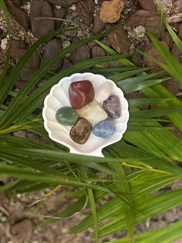Kit Pedras dos Chakras + Concha