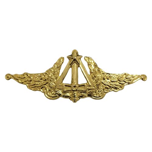 Metal EB Peito Escola de Administração do Exército