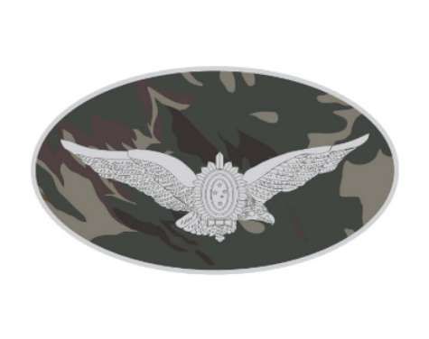 Emborrachado EB Elipse Piloto da Aviação do Exército