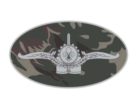 Emborrachado EB Elipse Centro de Idiomas do Exército