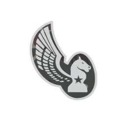 Emborrachado EB de gorro Avançado de Aviação
