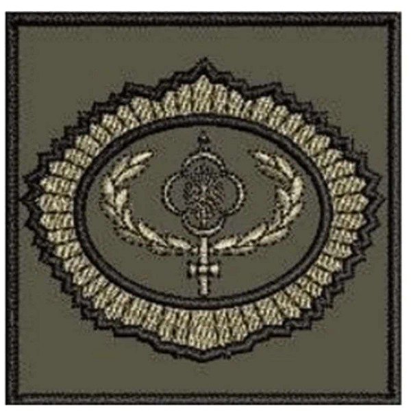 Distintivo de Baixa Visibilidade Peculiar - Curso de adjunto de Comando