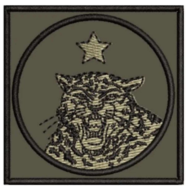 Distintivo de Baixa Visibilidade - Estágio do CIGS
