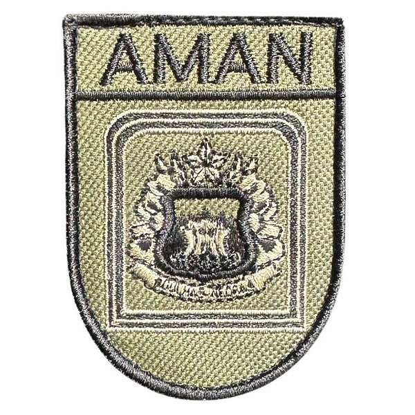 Distintivo de Organização Militar de Baixa Visibilidade - AMAN