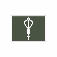 Emborrachado EB Gola Dentista
