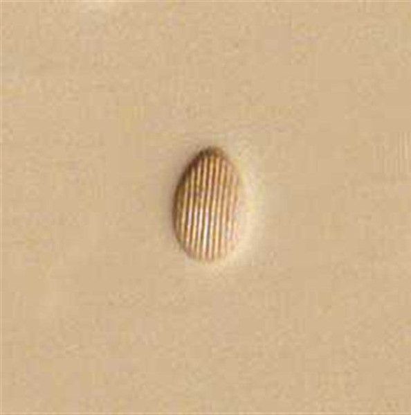 PINO GRAVAÇÃO TANDY LEATHER  P207