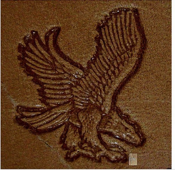 CARIMBO 3D TANDY Aguia Eagle em voo #8301