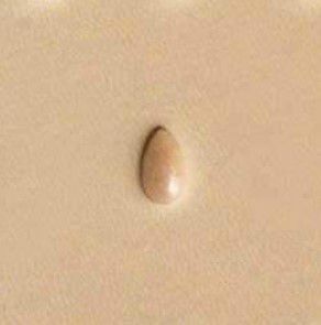 PINO GRAVAÇÃO TANDY LEATHER P703