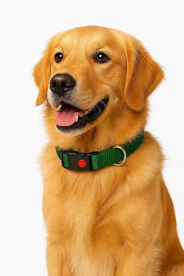 COLEIRAS NYLON - CORES VARIADAS