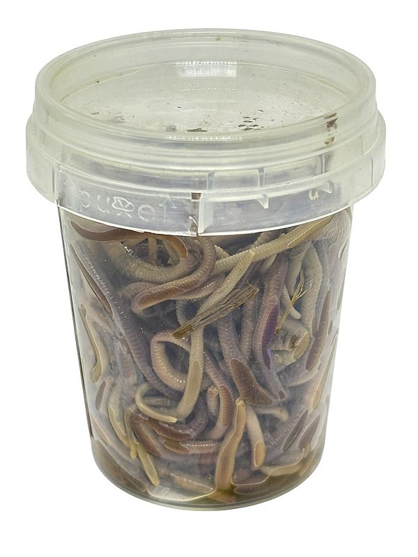 Minhoca em conserva Alvim - 35 g