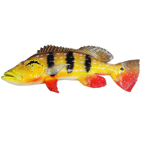 Peixe Tucunaré Paca de Parede 52cm de Resina Ornamental