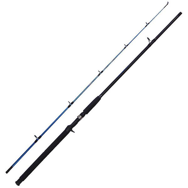 Vara Saint Hard Line 2402 Bc 2,40m 50-100g 2 Partes p/ carretilha