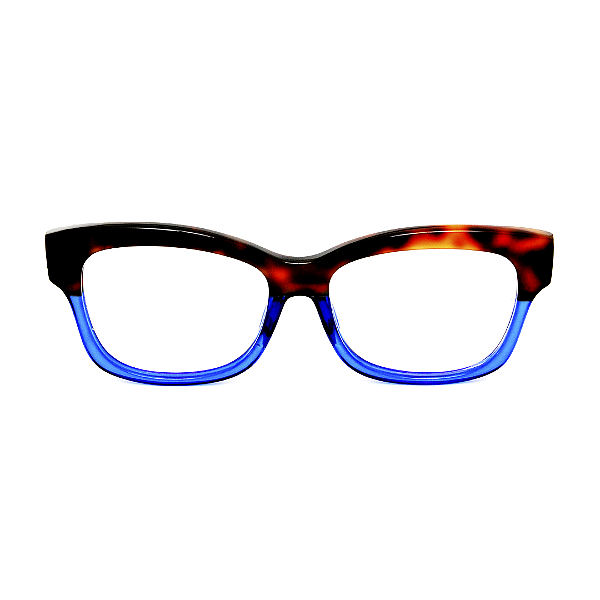 Óculos de Grau Gustavo Eyewear G104 1 Animal Print e azul. Hastes Animal Print. Unisex