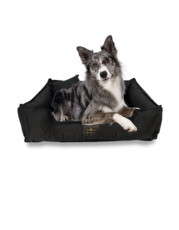 Cama Pet Cachorro & Gato- Impermeável- Nylon- GG- Preto