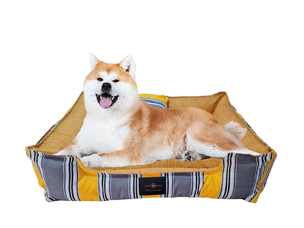 Caminha de Cachorro- Impermeável- Acquablock- GG- Amarelo