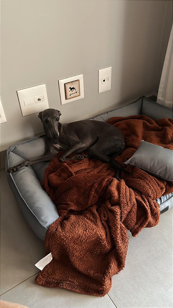 Caminha Pet Dupla 90 CM X 64 CM- Impermeável- Nylon- M- Cinza