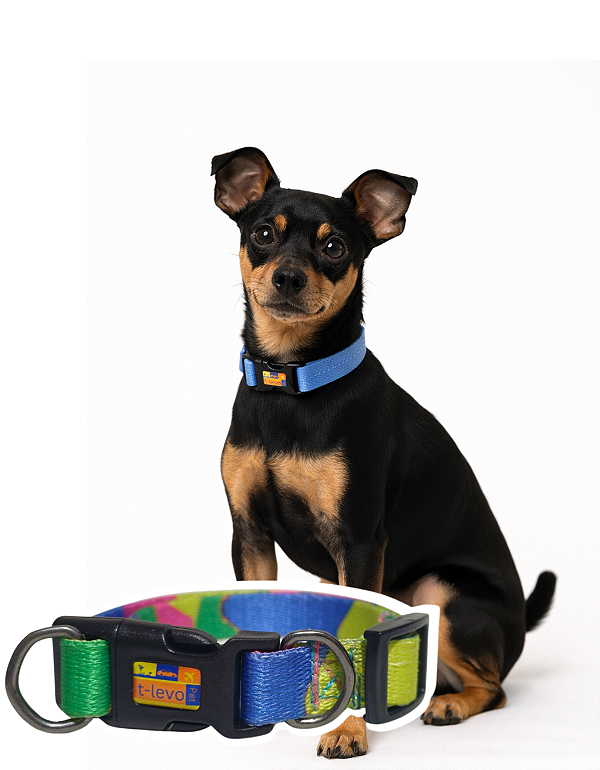TLEVO- COLEIRA- Poliéster- P- Colorido Camuflado