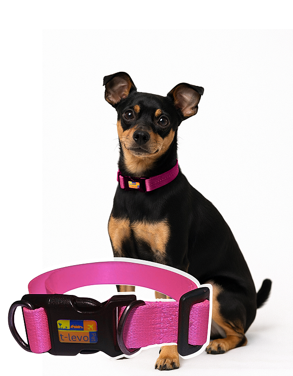TLEVO- COLEIRA- Poliéster- P- ROSA