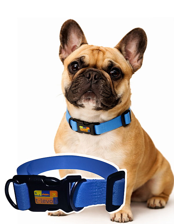 TLEVO- COLEIRA- Poliéster- G- AZUL