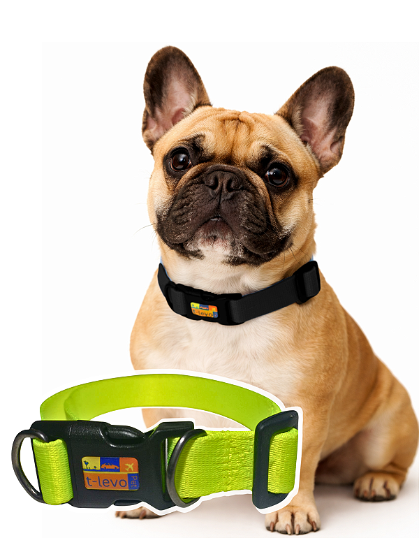 TLEVO- COLEIRA- Poliéster- G- VERDE LIMÃO