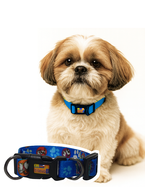 TLEVO- COLEIRA- Poliéster- M- Azul Patinhas