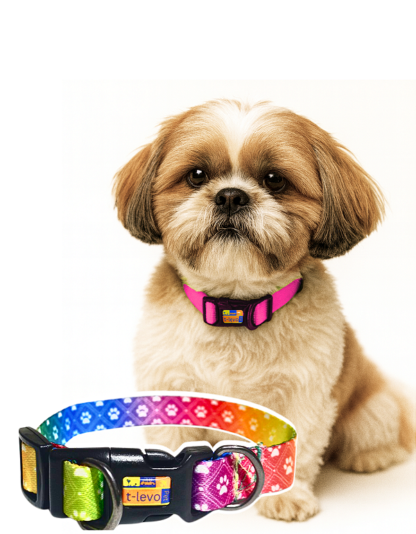 TLEVO- COLEIRA- Poliéster- M- Colorido Patinhas