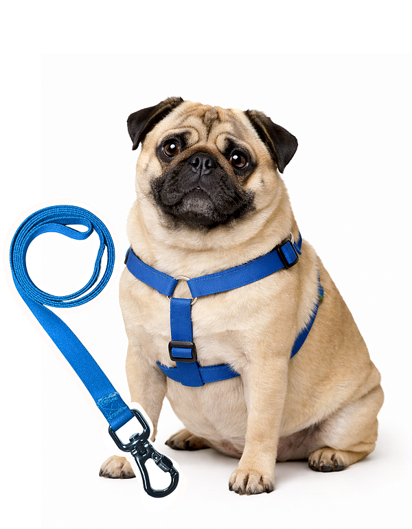 TLEVO- Peitoral H- Poliéster- G- AZUL