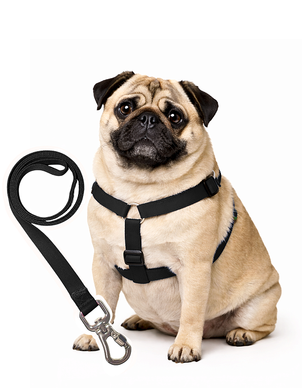 TLEVO- Peitoral H- Poliéster- G- PRETO