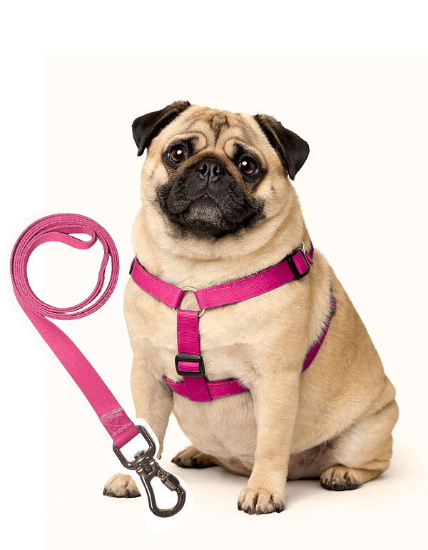 TLEVO- Peitoral H- Poliéster- G- ROSA