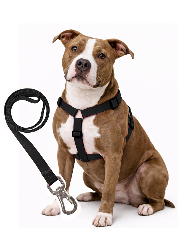 TLEVO- Peitoral H- Poliéster- GG- PRETO