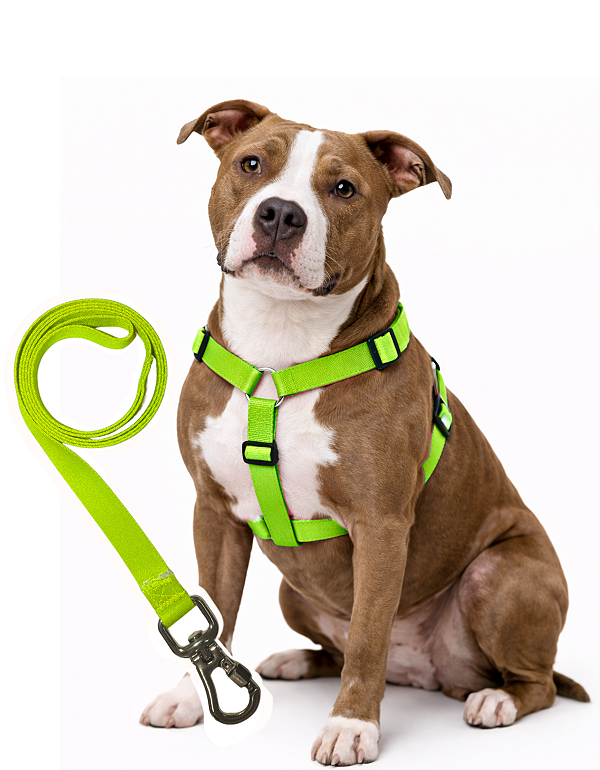 TLEVO- Peitoral H- Poliéster- GG- VERDE LIMÃO