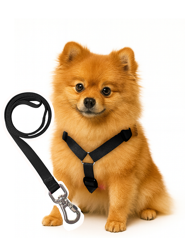 TLEVO- Peitoral H- Poliéster- M- PRETO