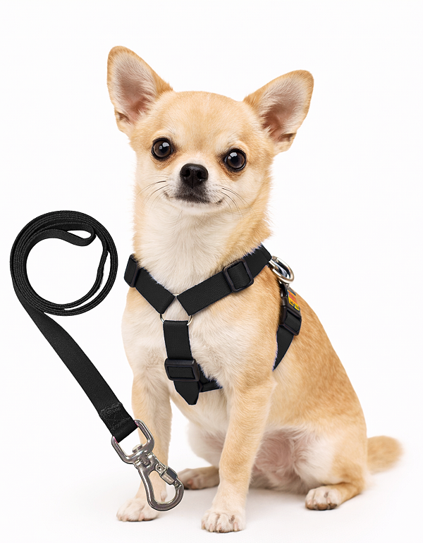 TLEVO- Peitoral H- Poliéster- P- PRETO