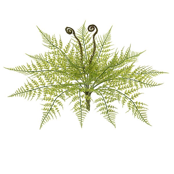 F.SAMAMBAIA C/PRINT X17 (VERDE) 37cm
