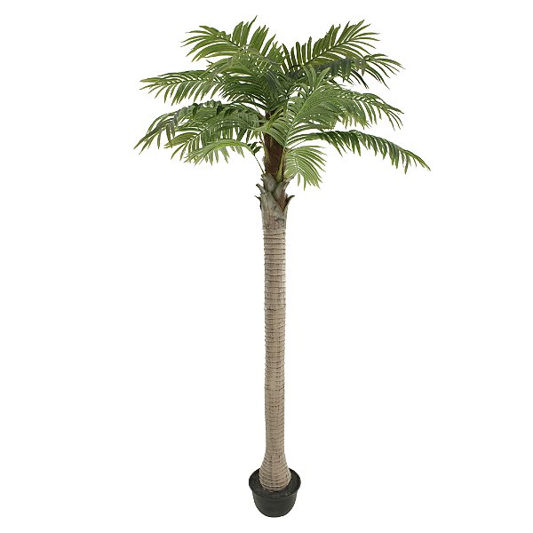 A.PALMEIRA C/POTE X15 (VERDE) 3,2m