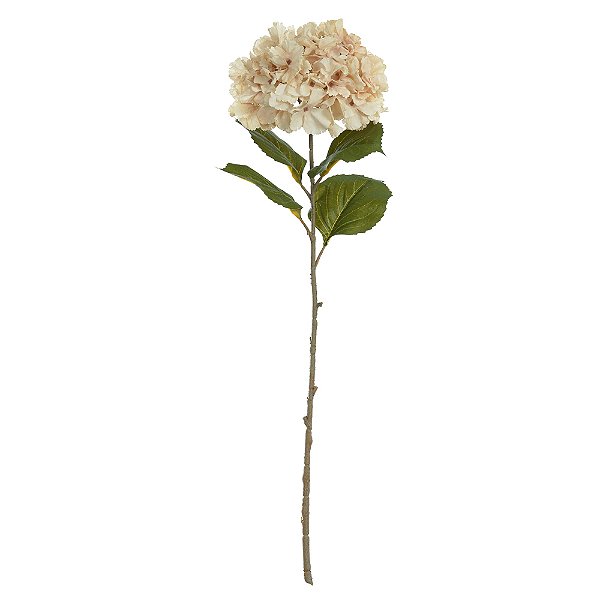 H.HORTENSIA X77 (CREME OUTONO) 84cm