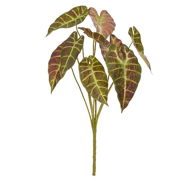 F.ALOCASIA REAL TOQUE X9 (VERDE OUTONO) 57cm