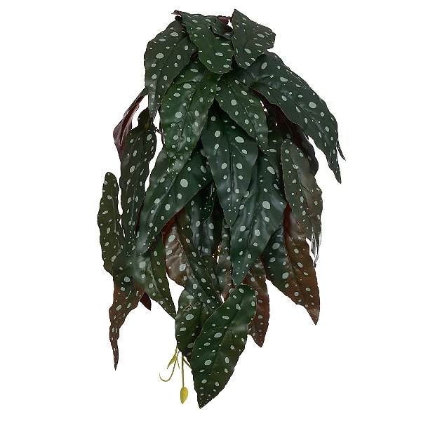 F.BEGONIA MACULATA PENDURAR X29 (VERDE) 45cm (FLORARTE)