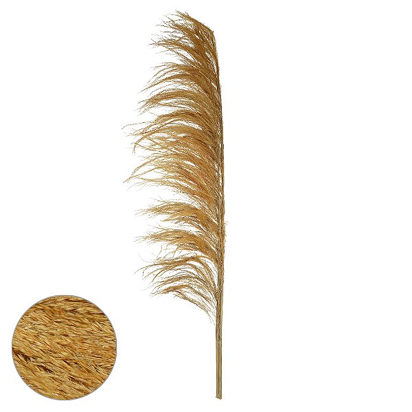 PLUMA PENDAO CANABRAVA C/3 HASTES DESIDRATADO (OCRE) 150CM