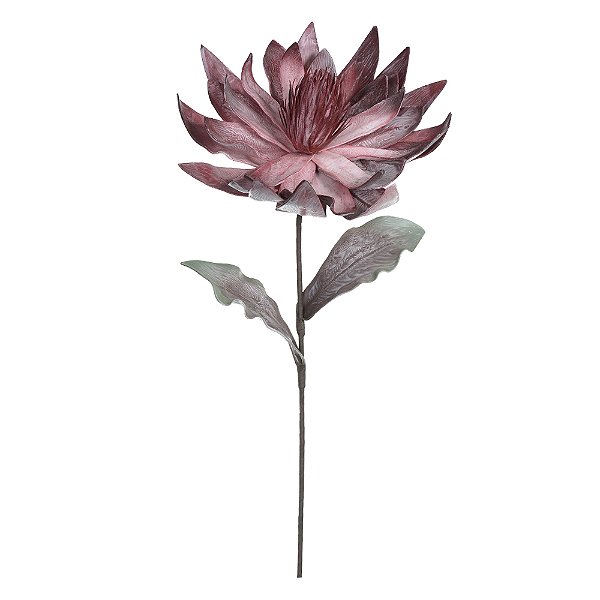 H.MAGNOLIA EVA (BEAUTY OUTONO) 92cm