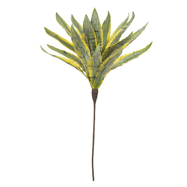 C.DRACENA EVA X18 (VERDE AMARELO) 90cm