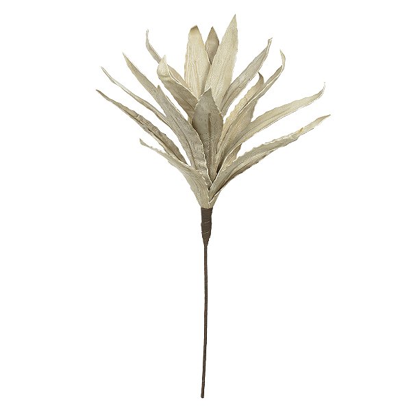 C.DRACENA EVA X18 (PALHA) 90cm