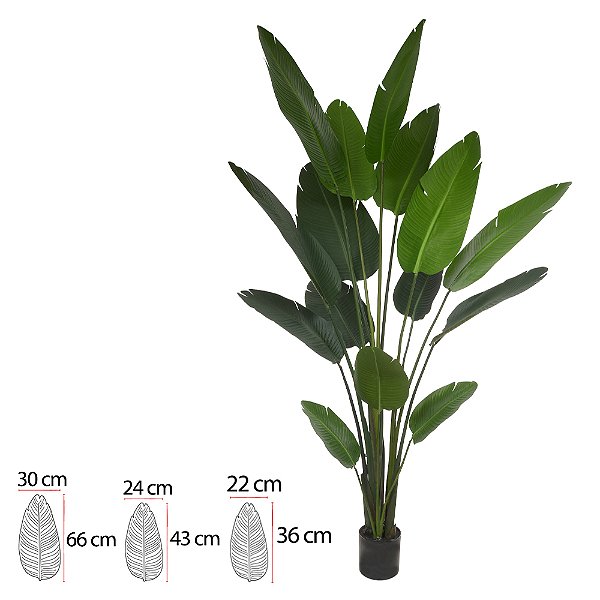 A.BANANEIRA DE JARDIM PU C/POTE X15 (VERDE) 2,5m