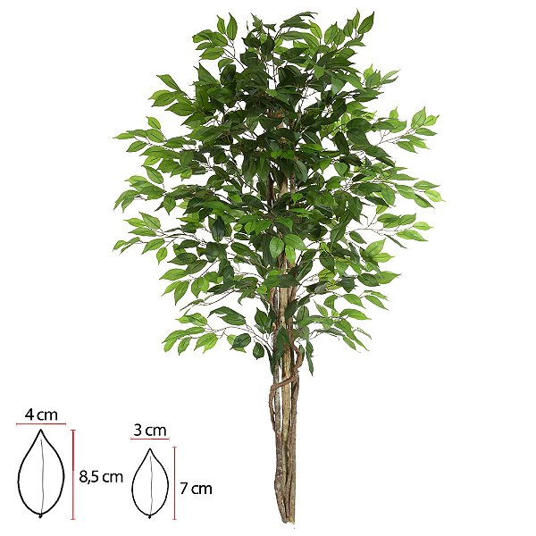A. Ficus X756 (Verde) – 1,5m