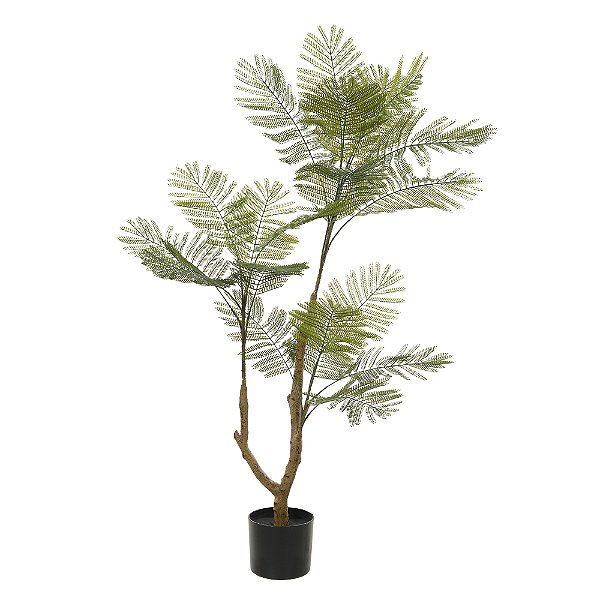 A. Acácia c/ Pote Plástico X20 (Verde) – 1,2m