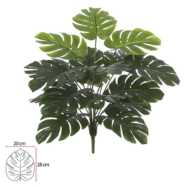 A. Costela de Adão Real Toque X18 (Verde) – 60cm