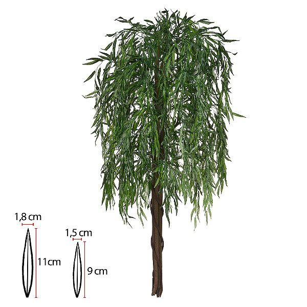 A. Salgueiro Chorão Real Toque X1963 (Verde) – 1,8m