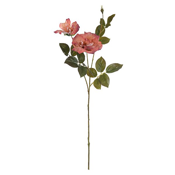 H. Rosa X2 (Pêssego Outono) – 80cm