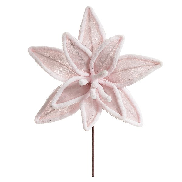Haste Bico de Papagaio – Rosa Claro – 27 cm