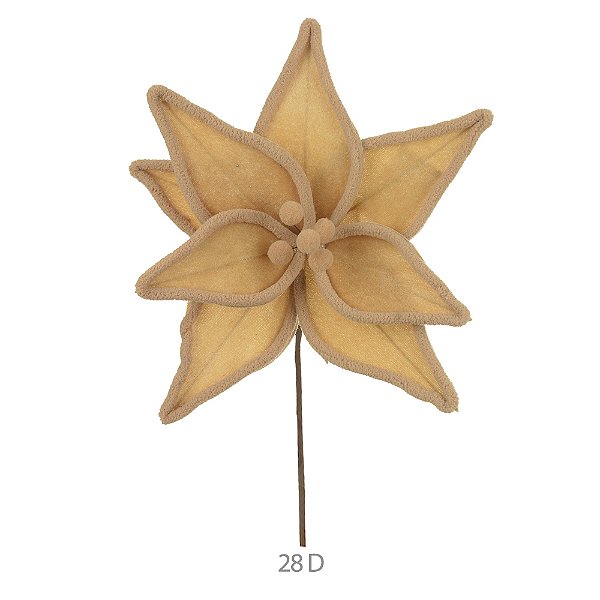 Haste Bico de Papagaio Aveludado – Champanhe com Borda Dourada – 35 cm